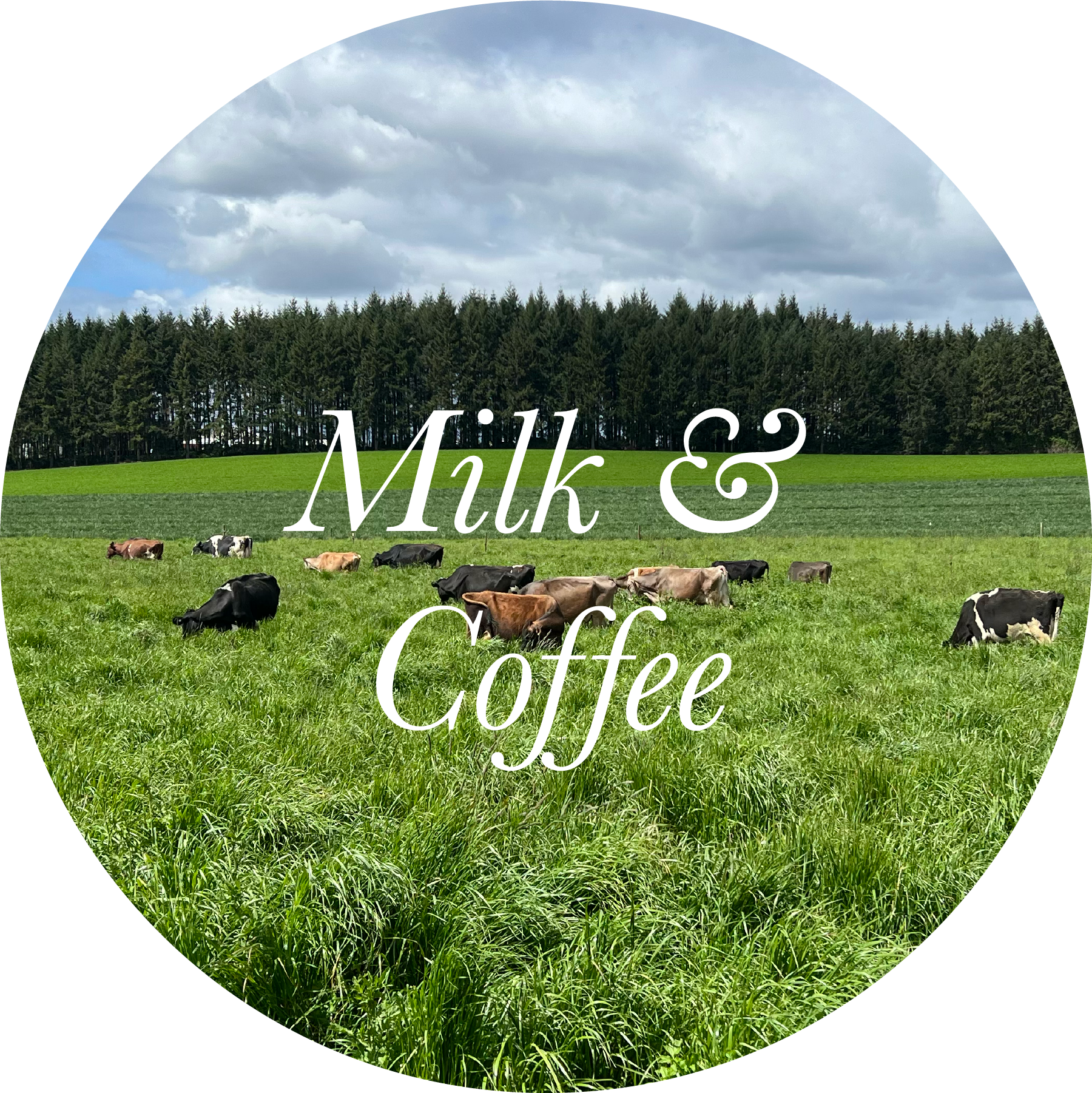 Milk in Coffee