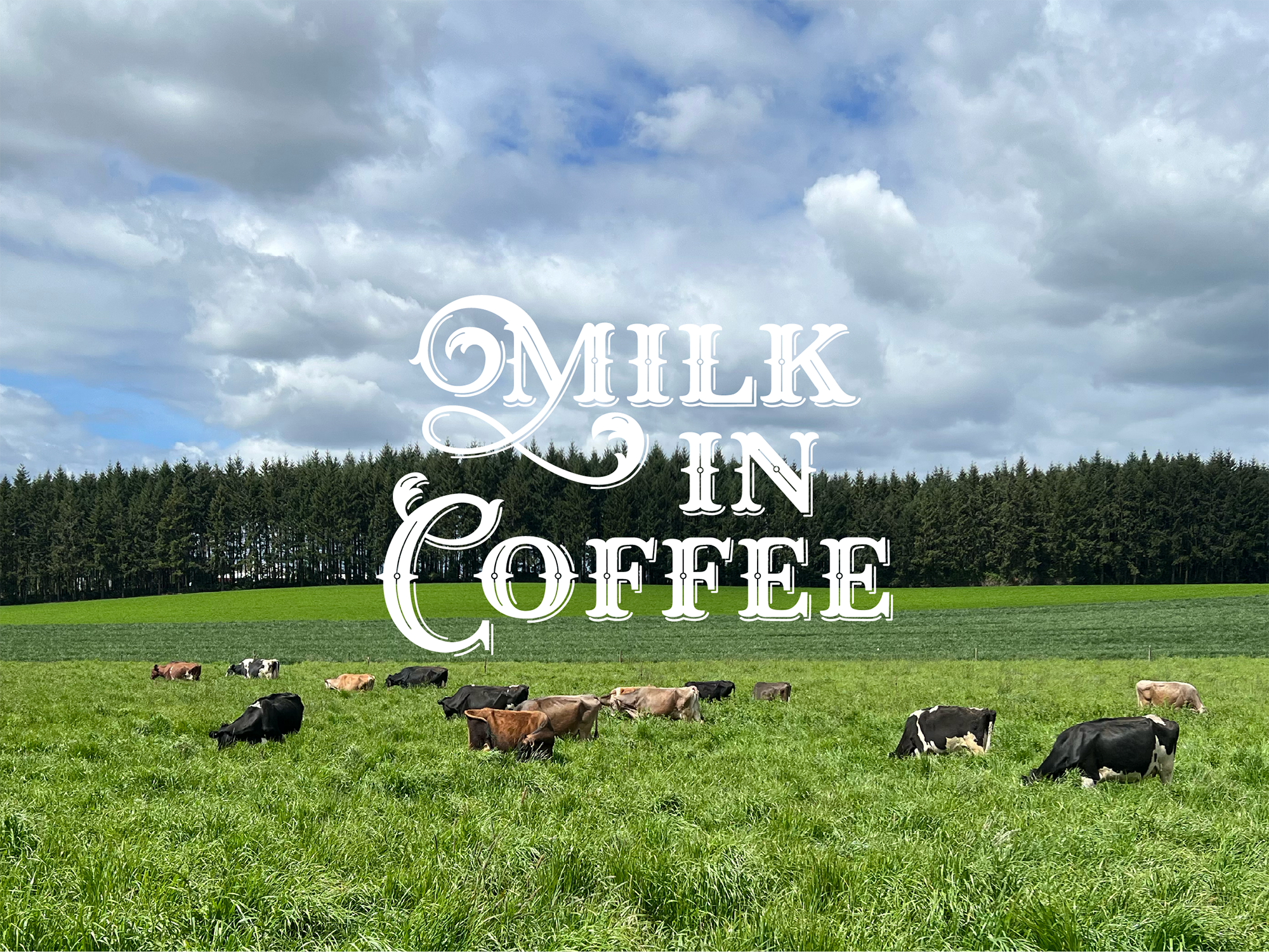 Milk in Coffee