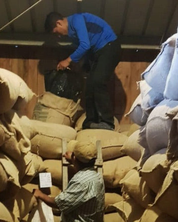 Finca Los Cantares - Chiriqui, Panama, Washed Catuai Caturra