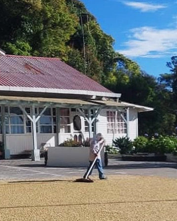 Finca Los Cantares - Chiriqui, Panama, Washed Catuai Caturra