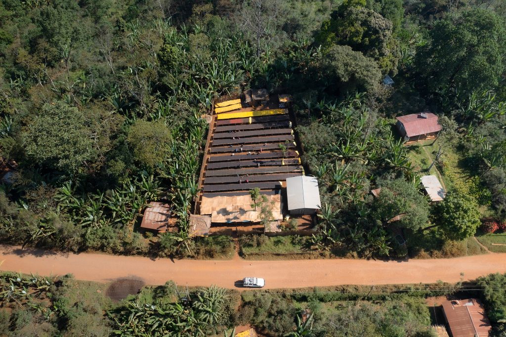Ethiopia Yirgacheffe, Birkutan, Natural