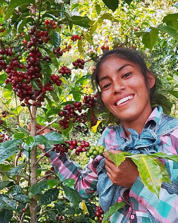 Cornelio Camiña Villano, Inkawasi, Peru, Gesha Inka Washed Double Fermented